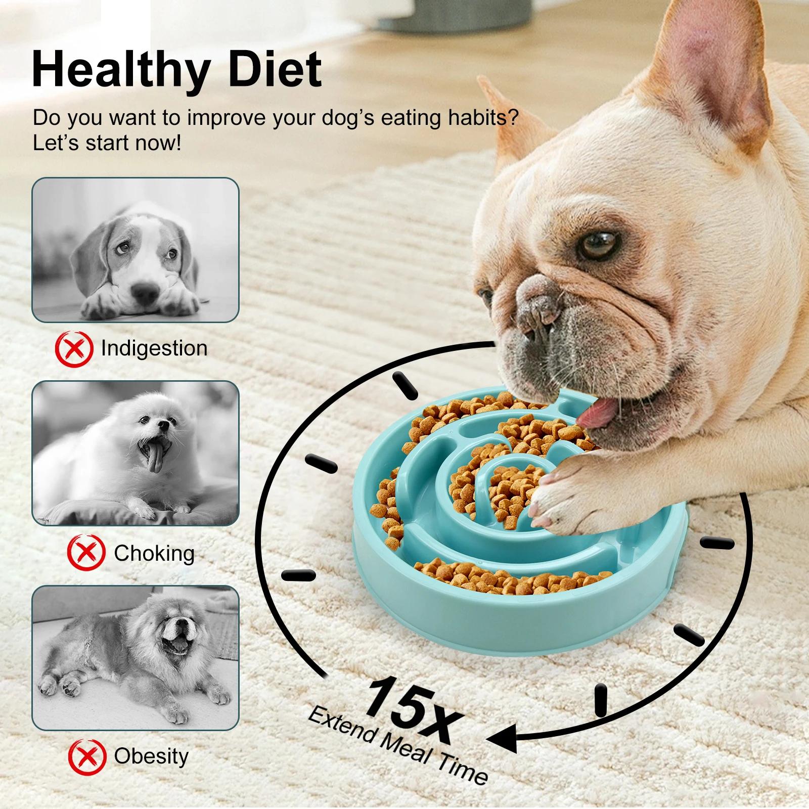 وعاء طعام للكلاب بتصميم ممتع و - مراجعة Royal Canin Food Medium وسعره