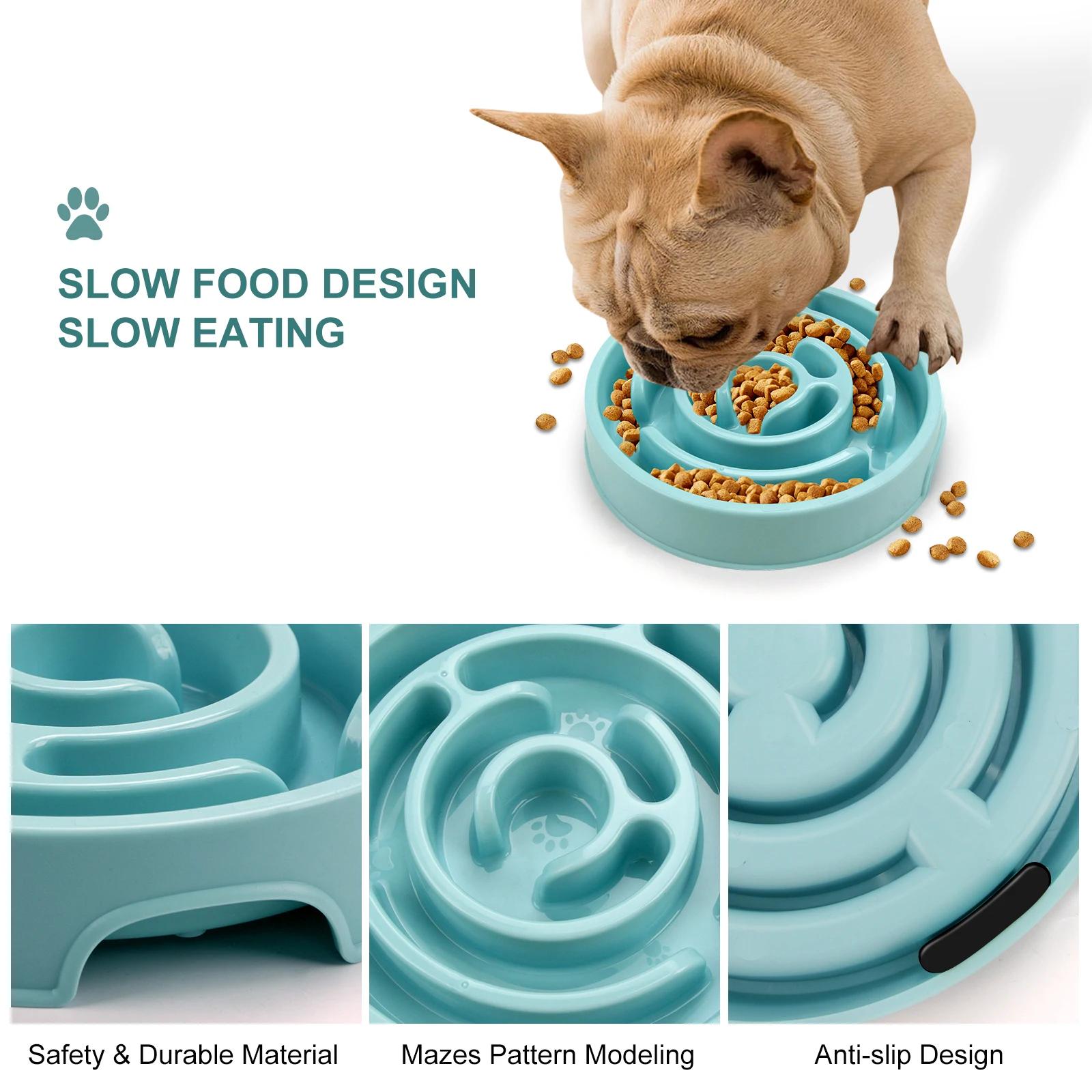 وعاء طعام للكلاب بتصميم ممتع و - مراجعة Royal Canin Food Medium وسعره